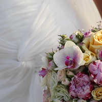 Golf Oliva Nova - Image 3