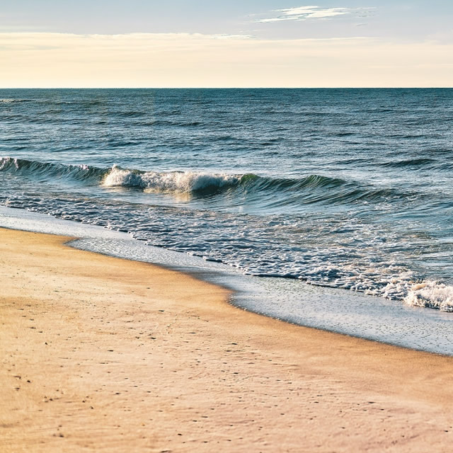 Image Feed - Playa