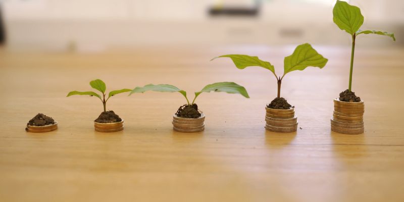 MAXIMUM PROFITABILITY