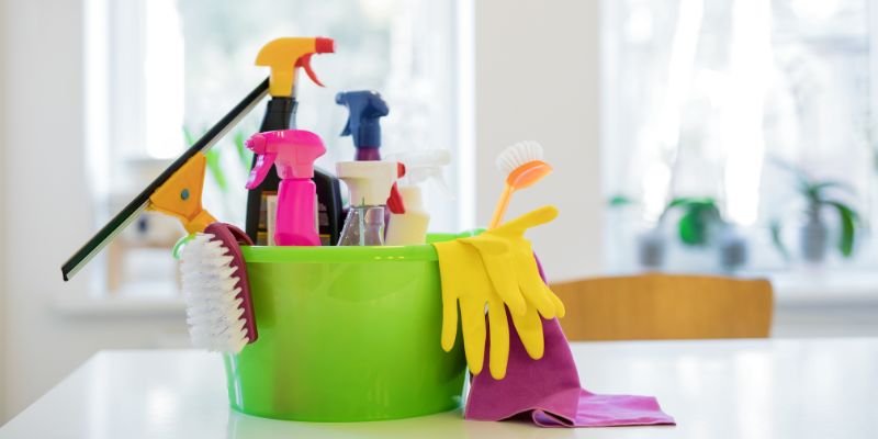PROFESSIONAL CLEANING