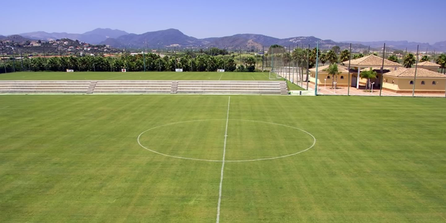 Natural grass pitches