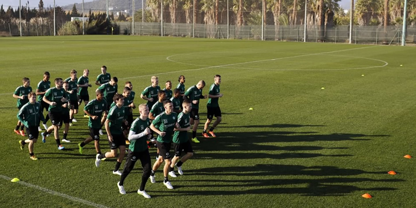Natural grass pitches